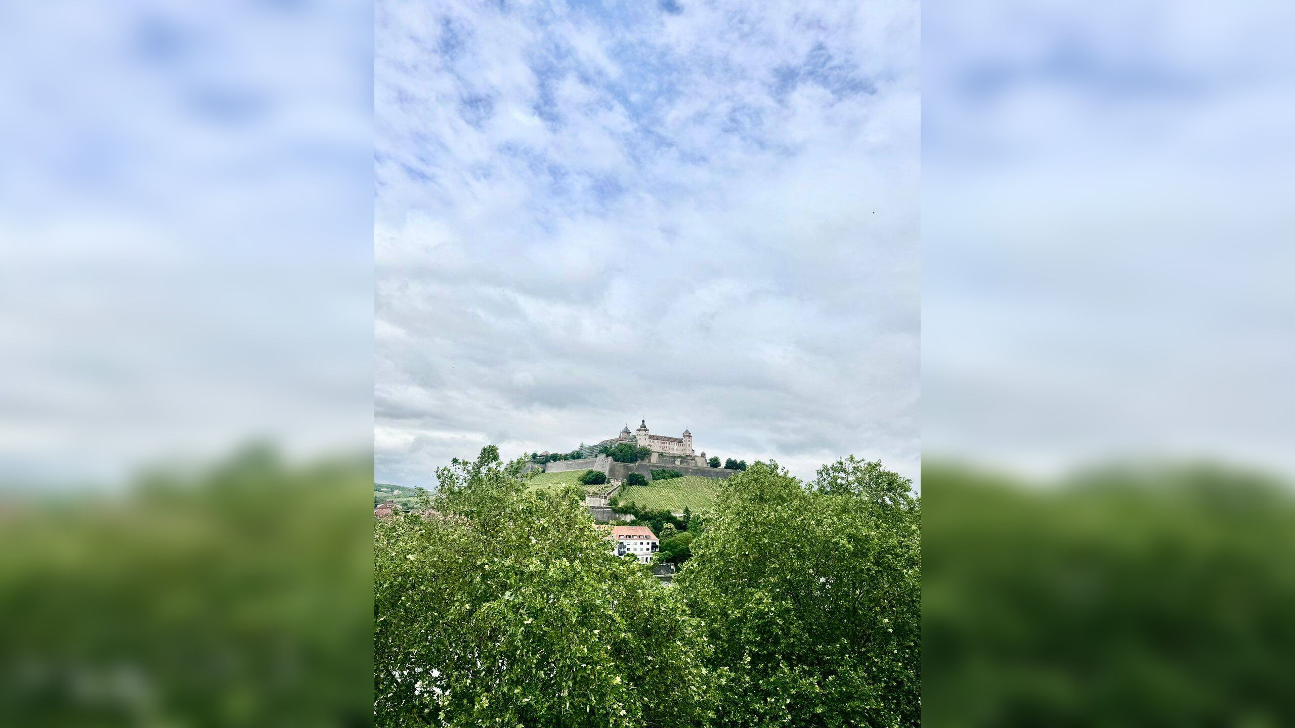 image-66946174