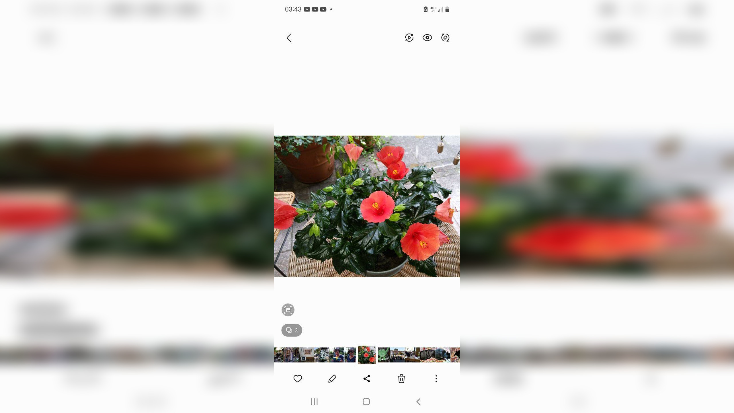 image-66946381
