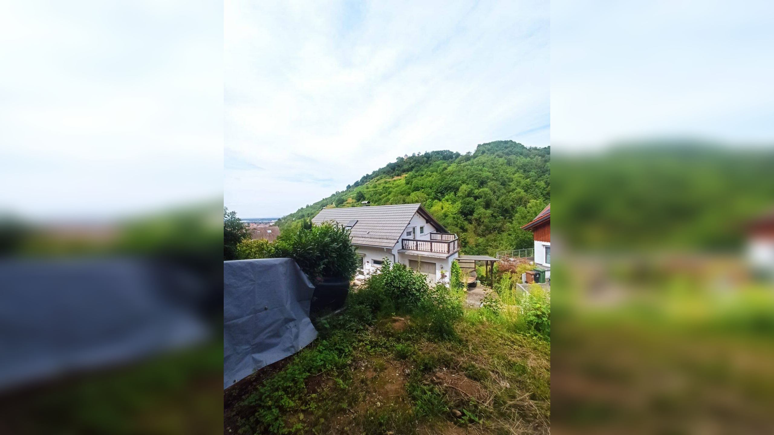 image-66977637