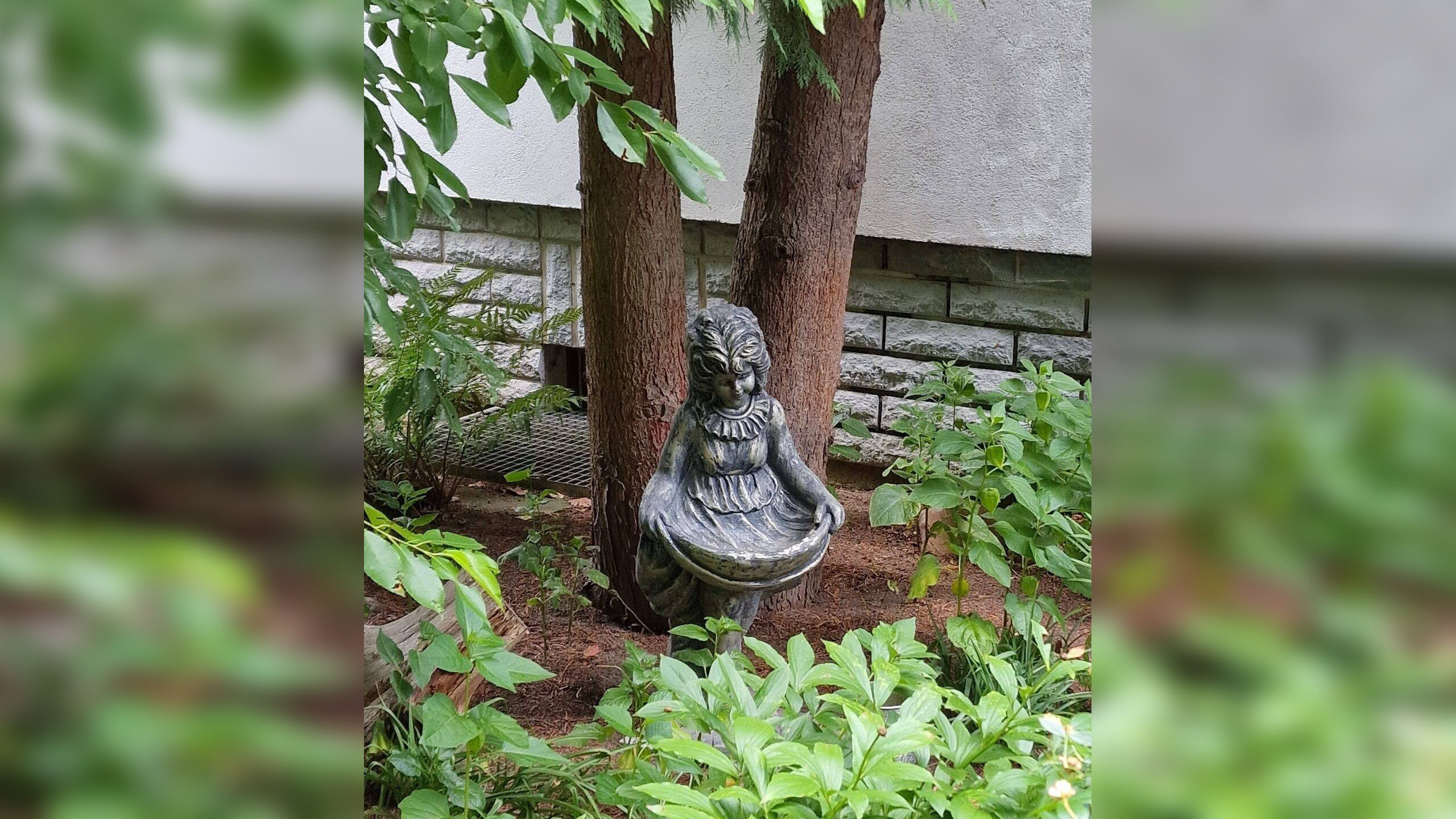 image-66984869