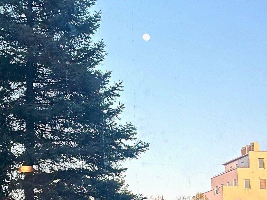 image-66988119