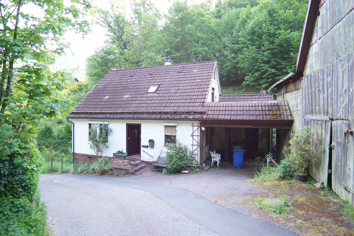 image-66988317