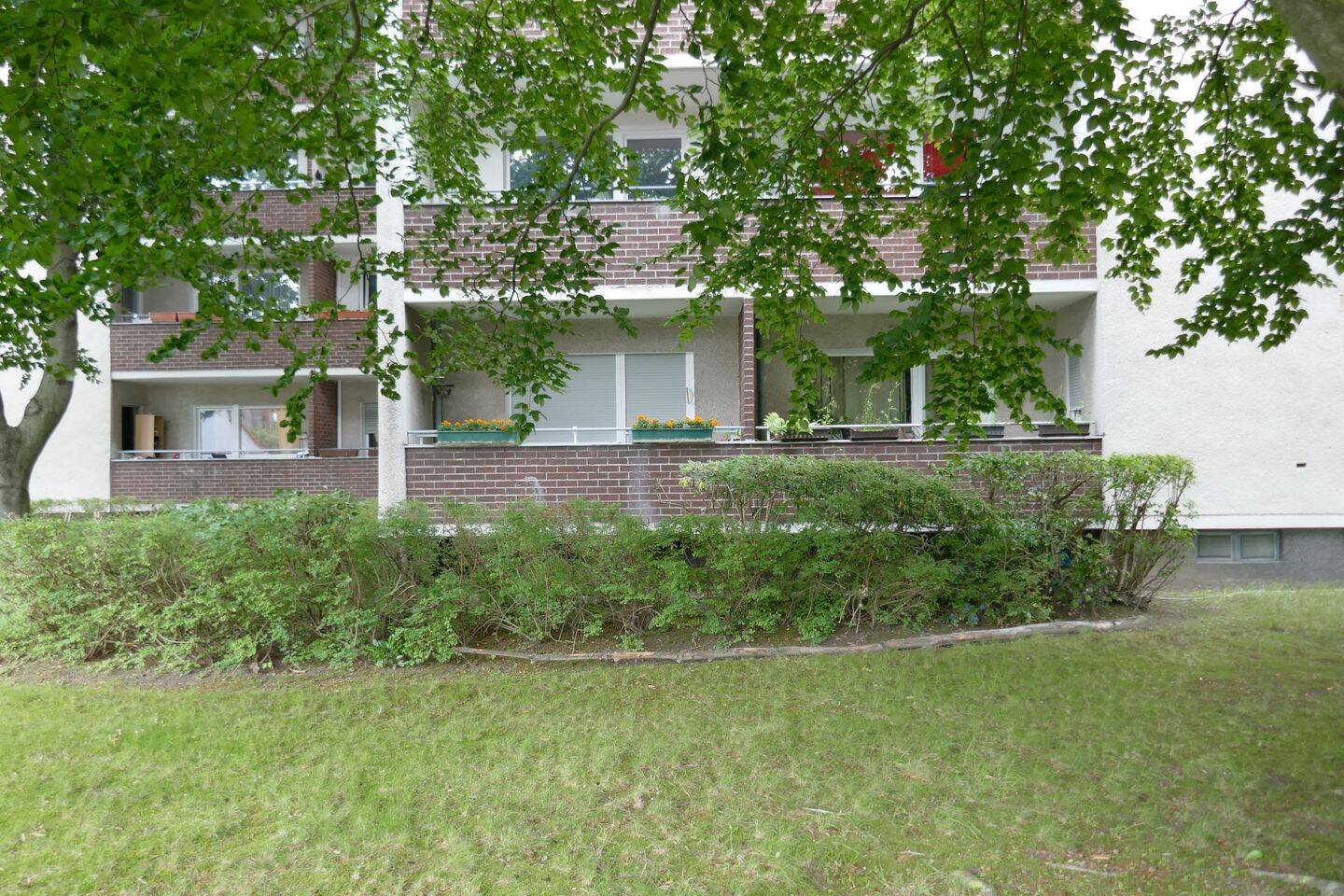 image-67010015