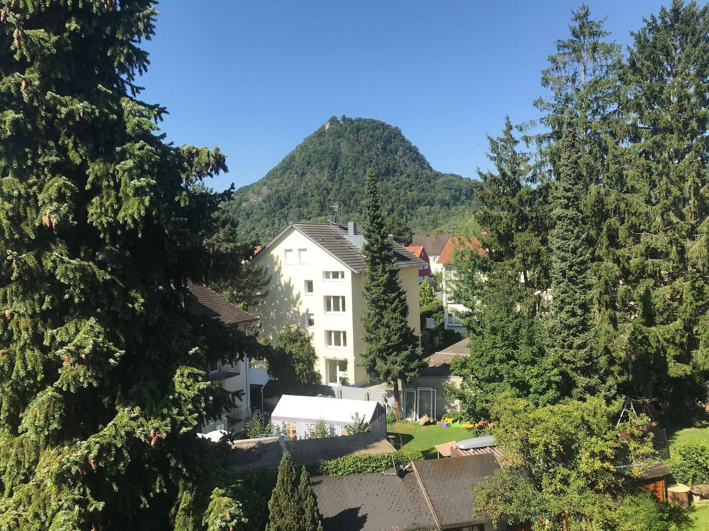 image-67015537