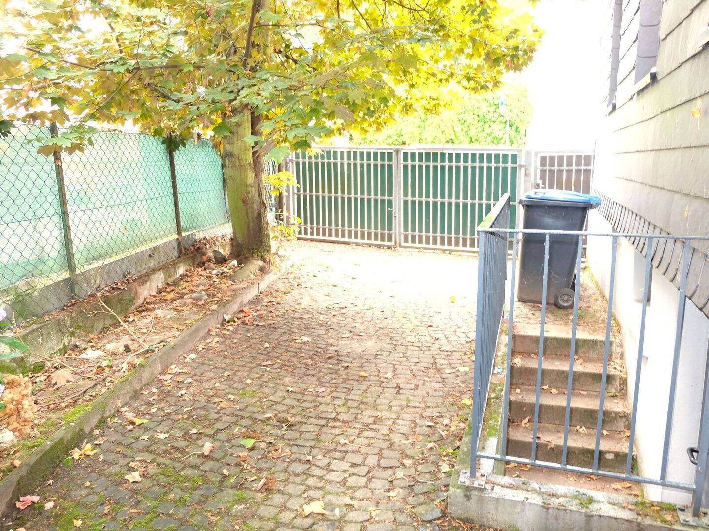 image-67015720
