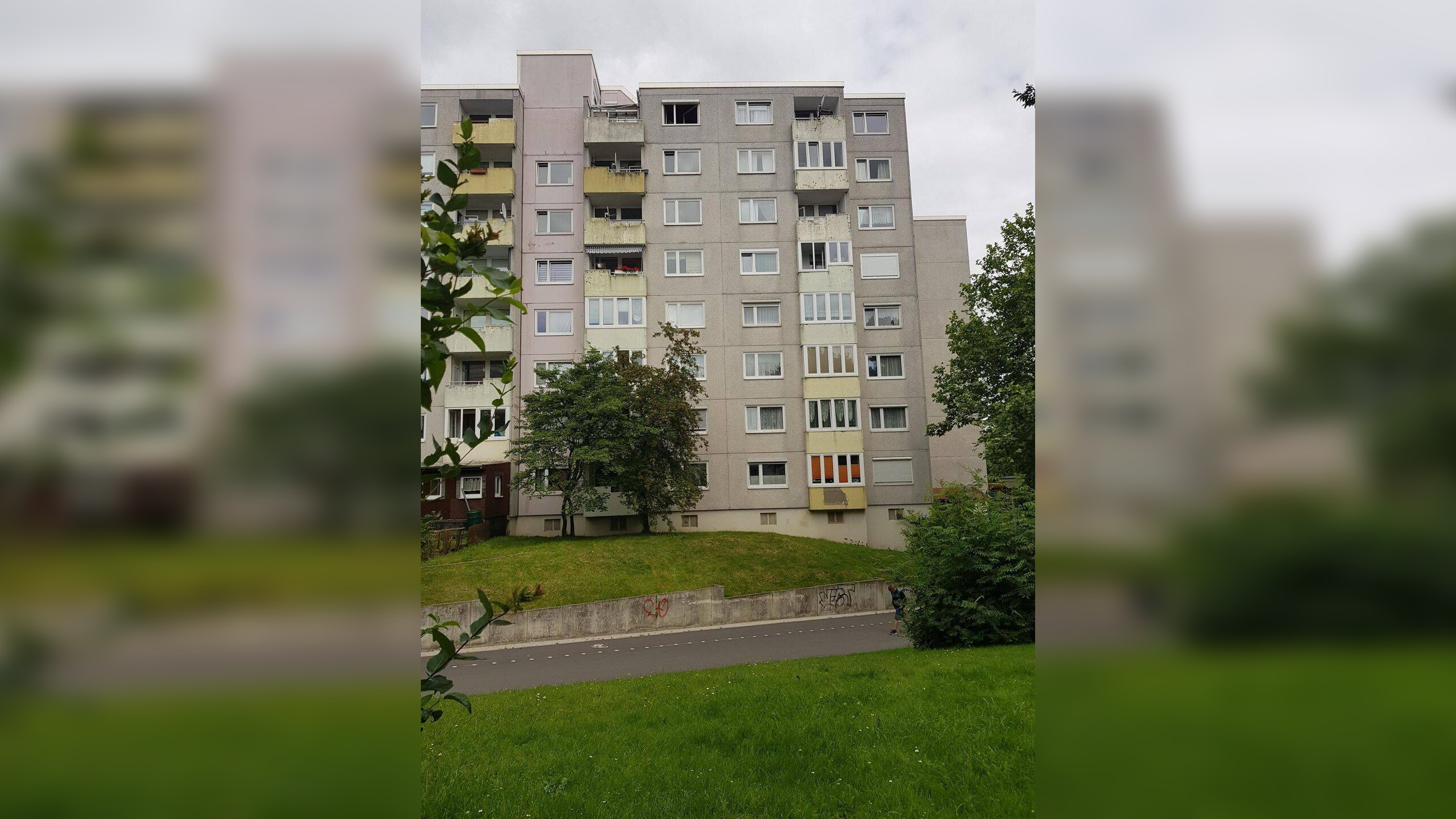 image-67041168