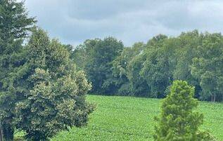 image-67051278