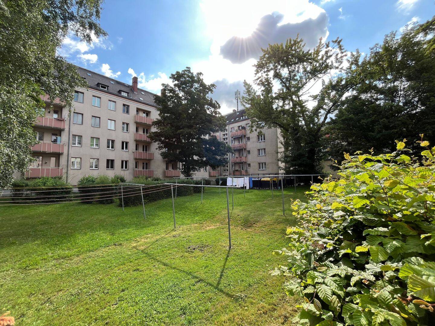 image-67057792