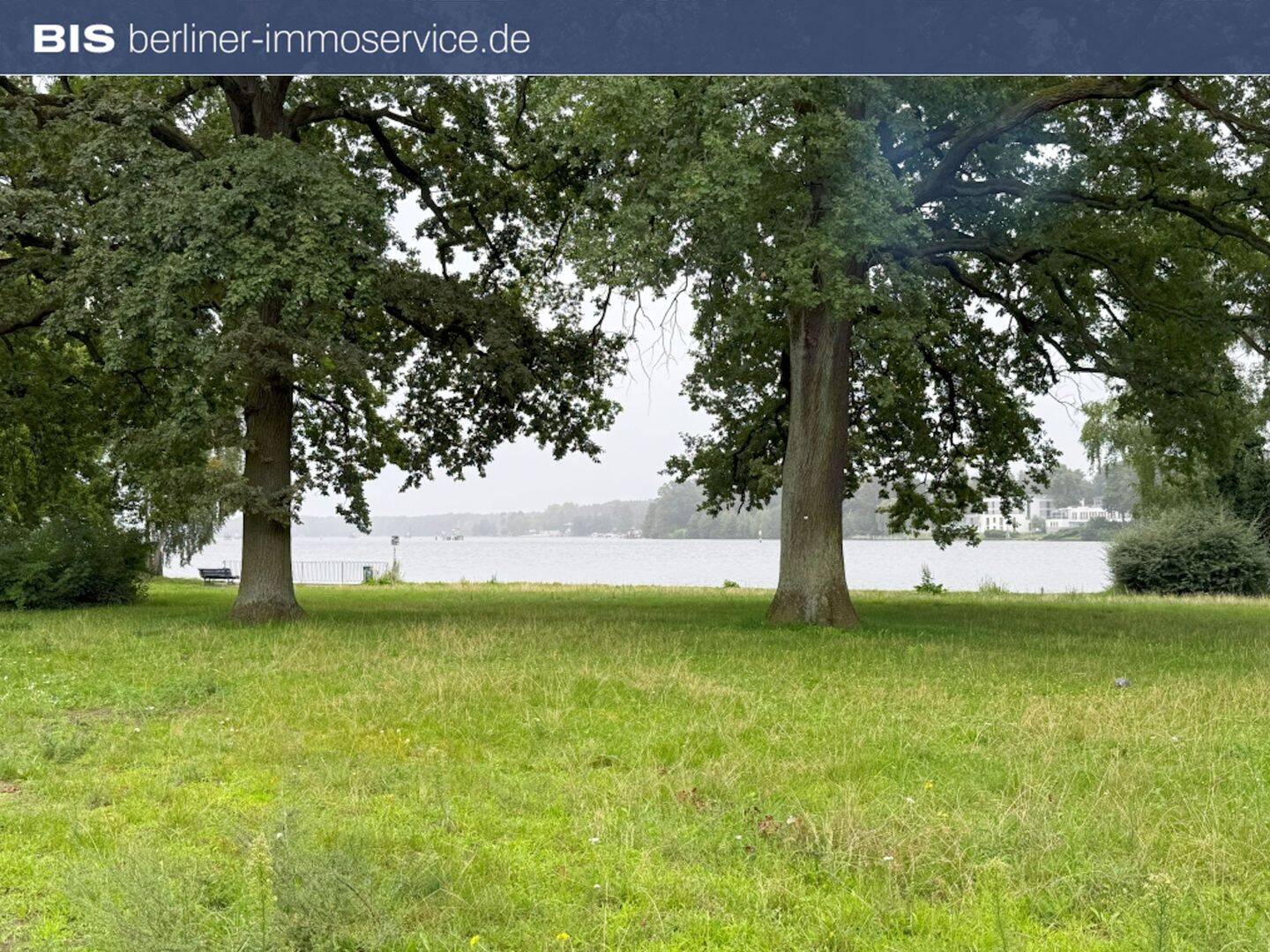 image-67058026