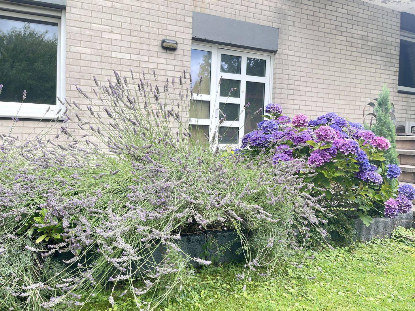 image-67061886