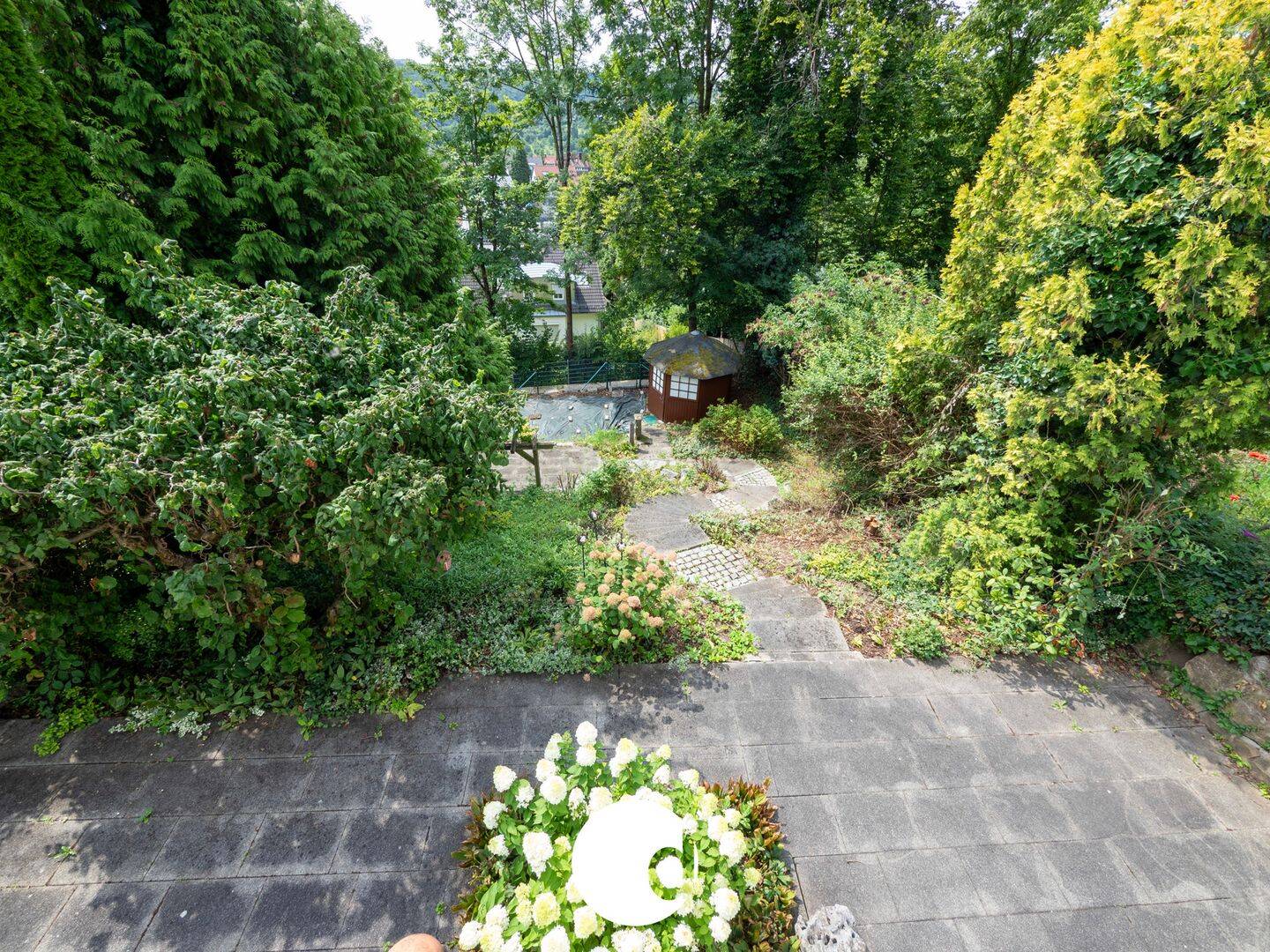 image-67064191