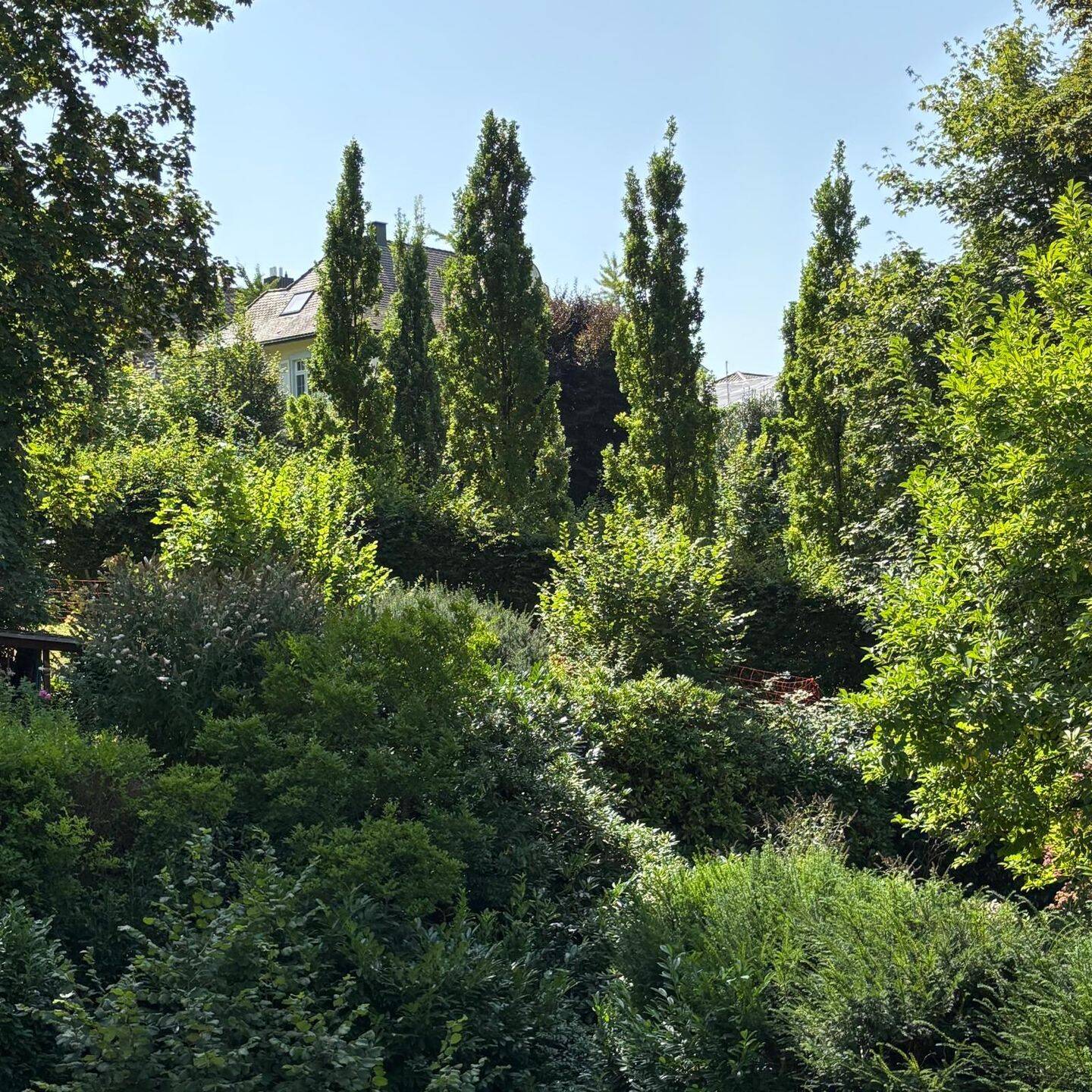 image-67070352