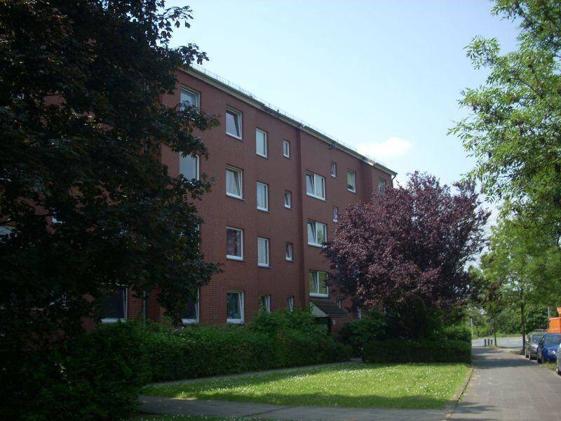 image-67074006