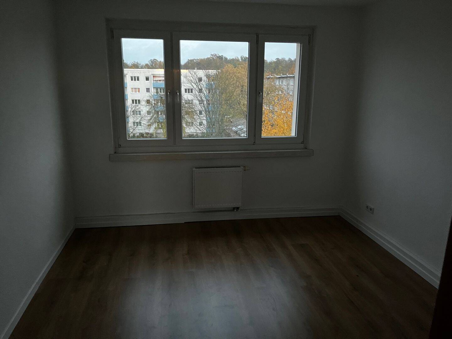 image-67074514