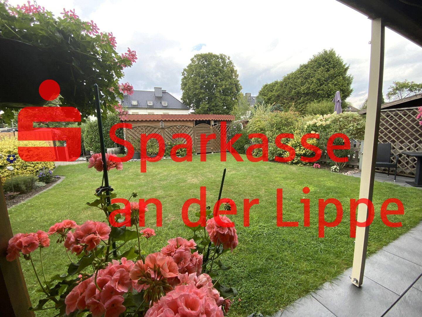 image-67106338