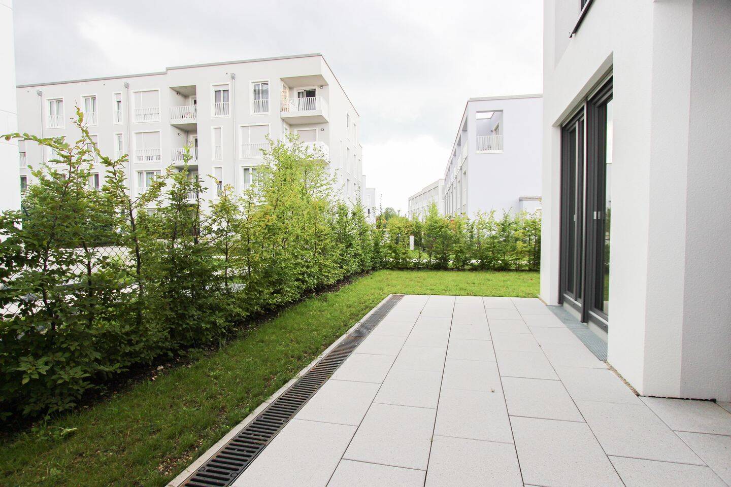 image-67144333