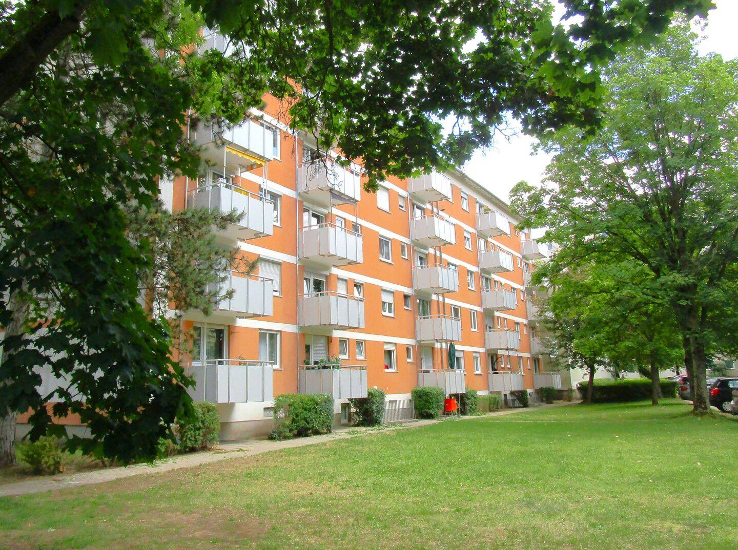 image-67146902