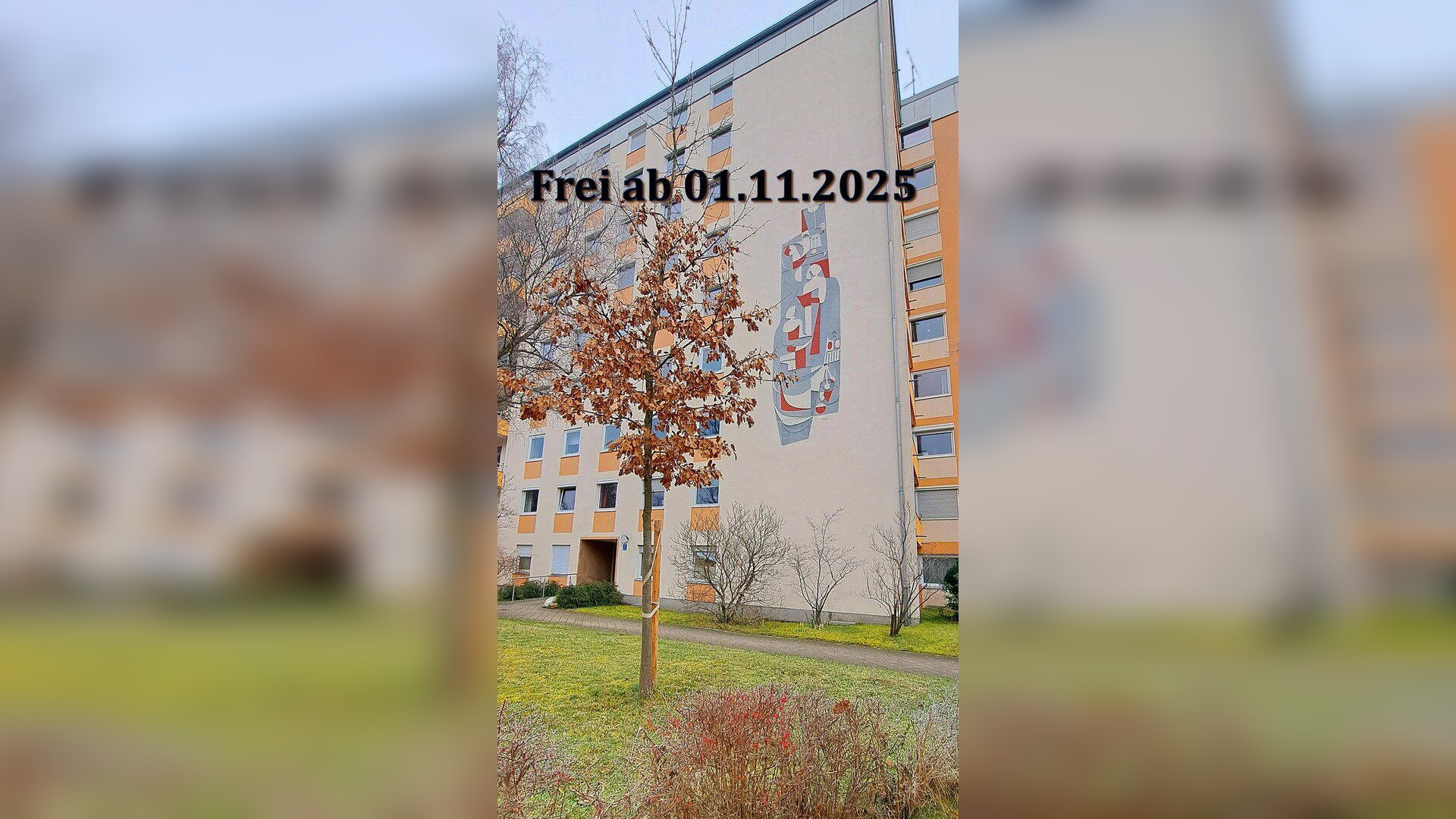 image-67148403
