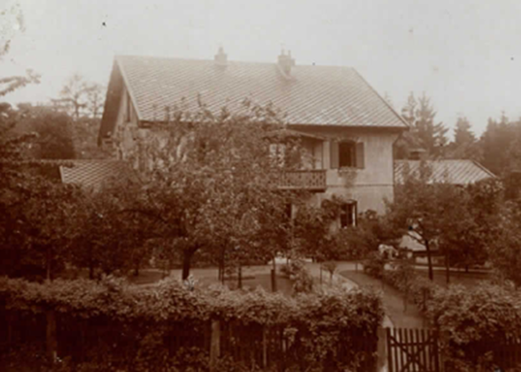 image-67156803