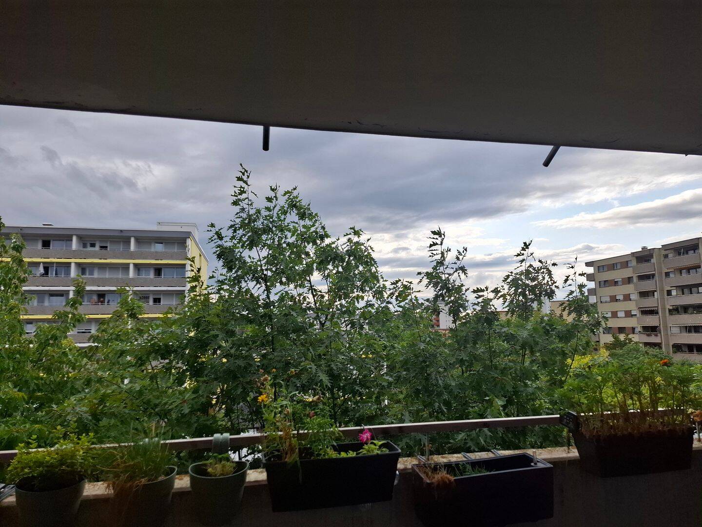 image-67159662