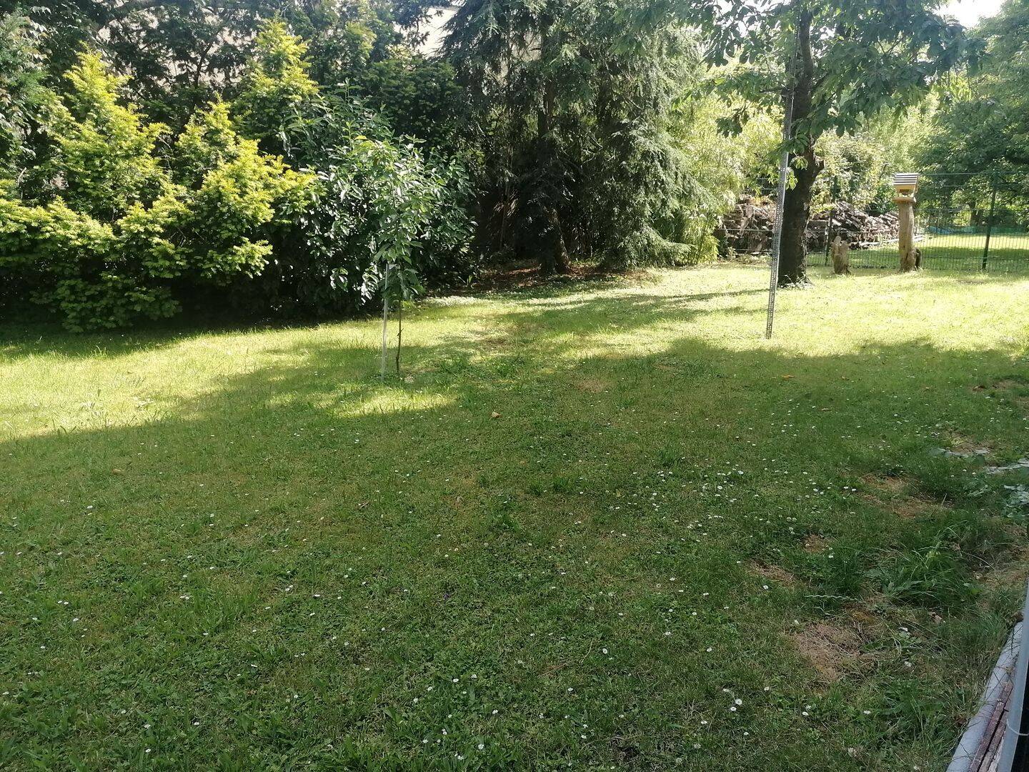 image-67160752