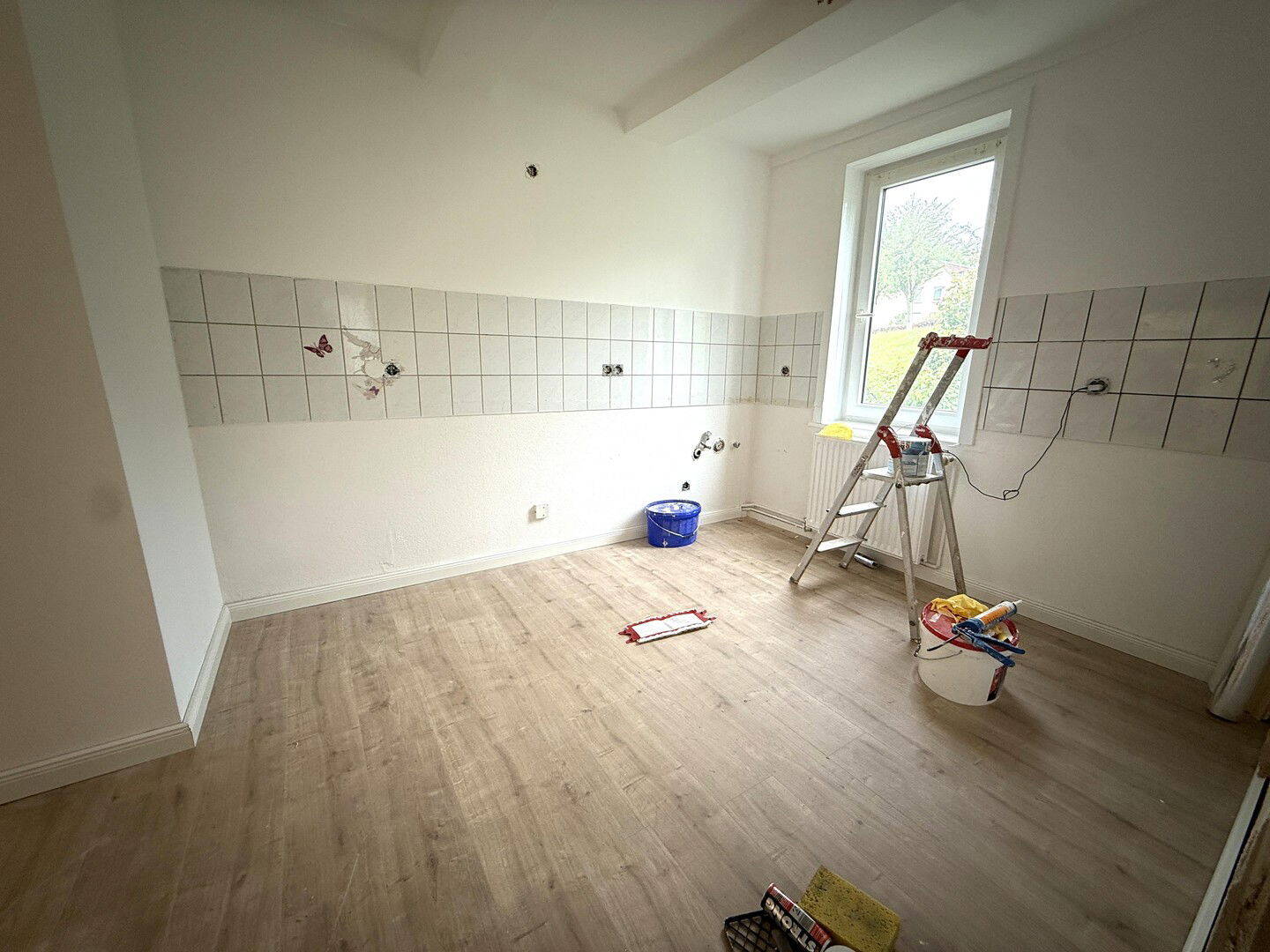 image-67169550