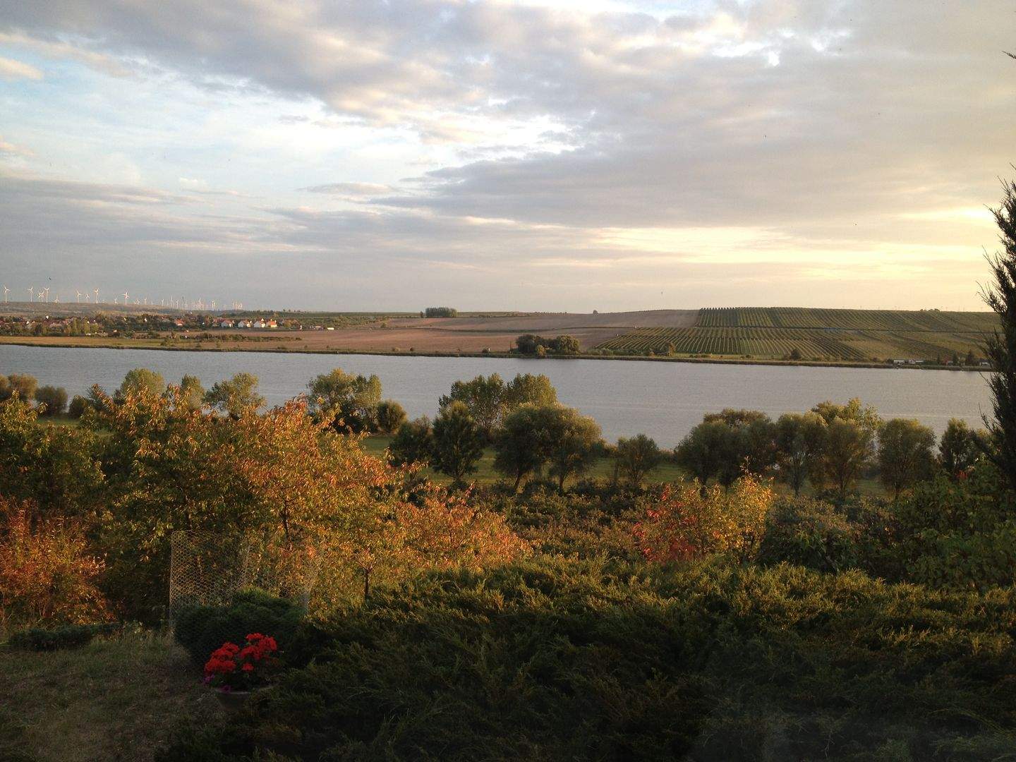 image-67169799