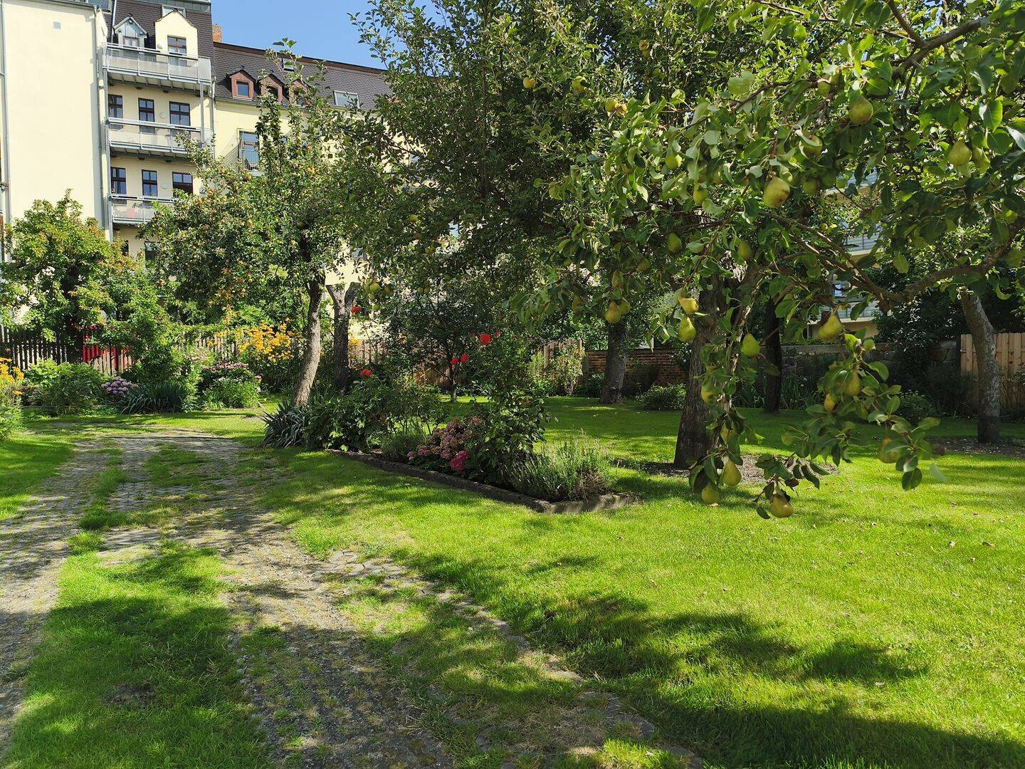 image-67170696