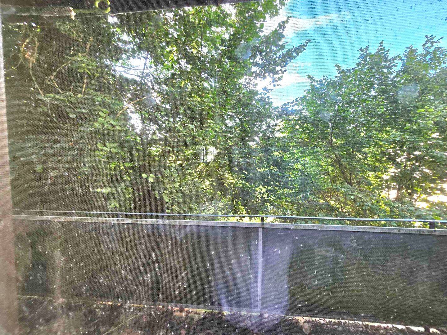 image-67178767