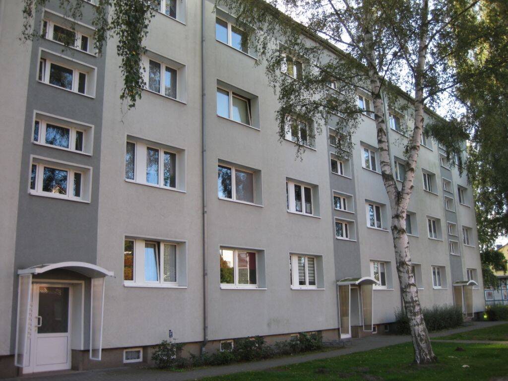 image-67178701