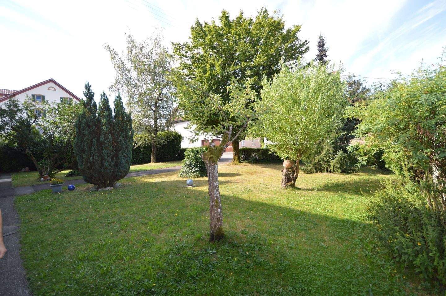 image-67190193