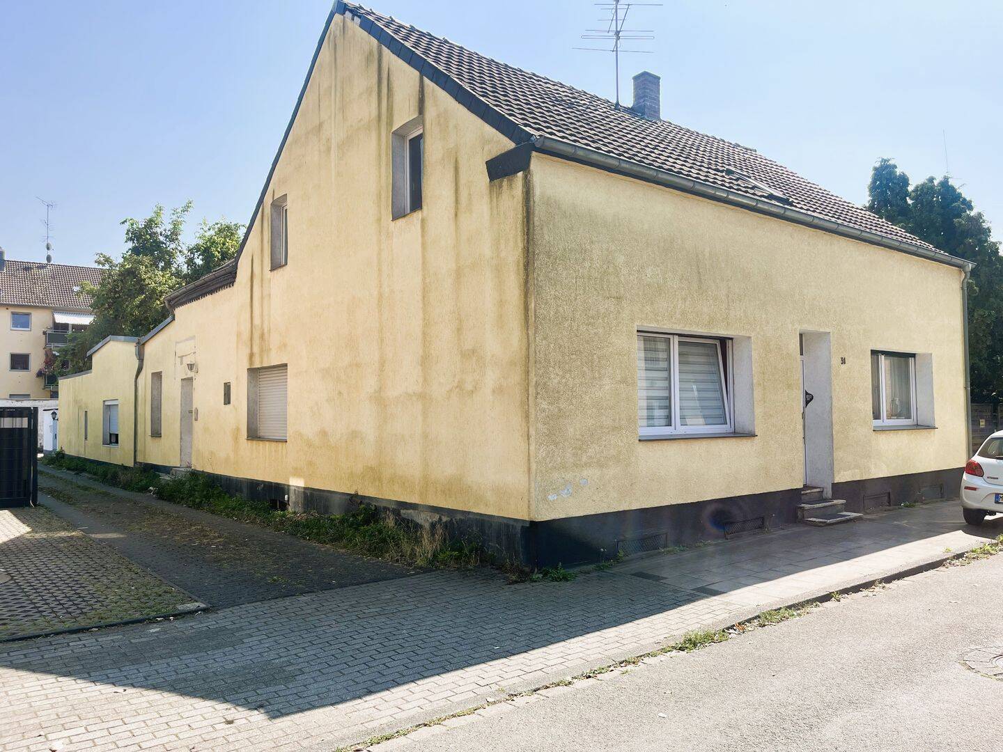 image-67196254