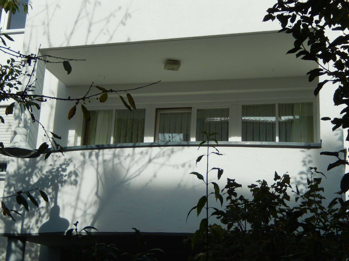 image-67311223
