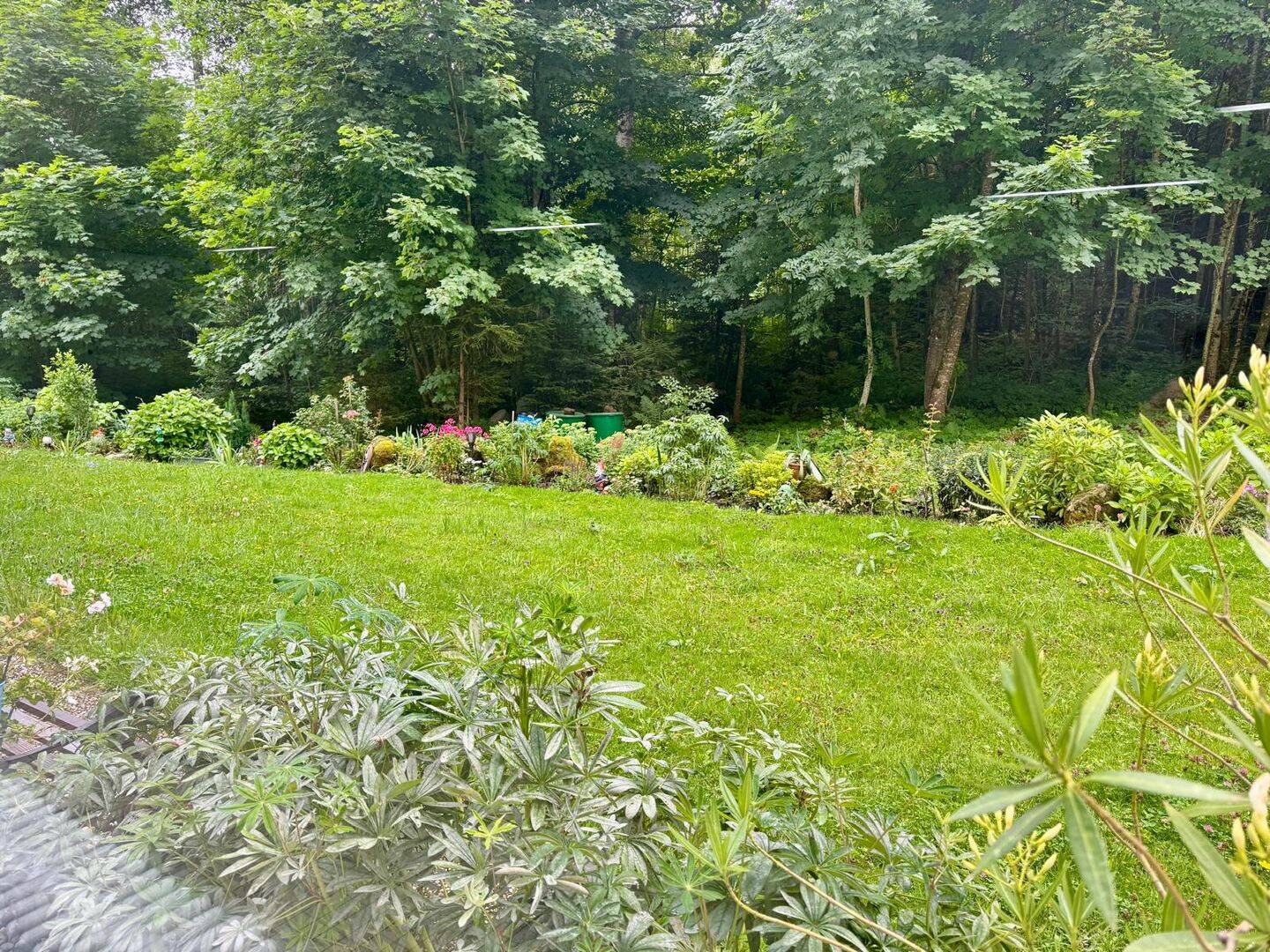 image-67313237