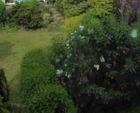 image-67314778