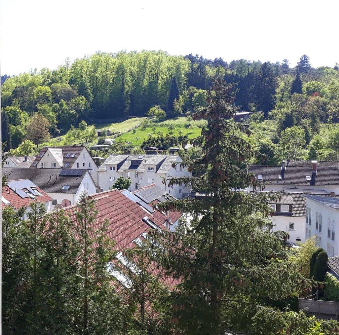 image-67318512