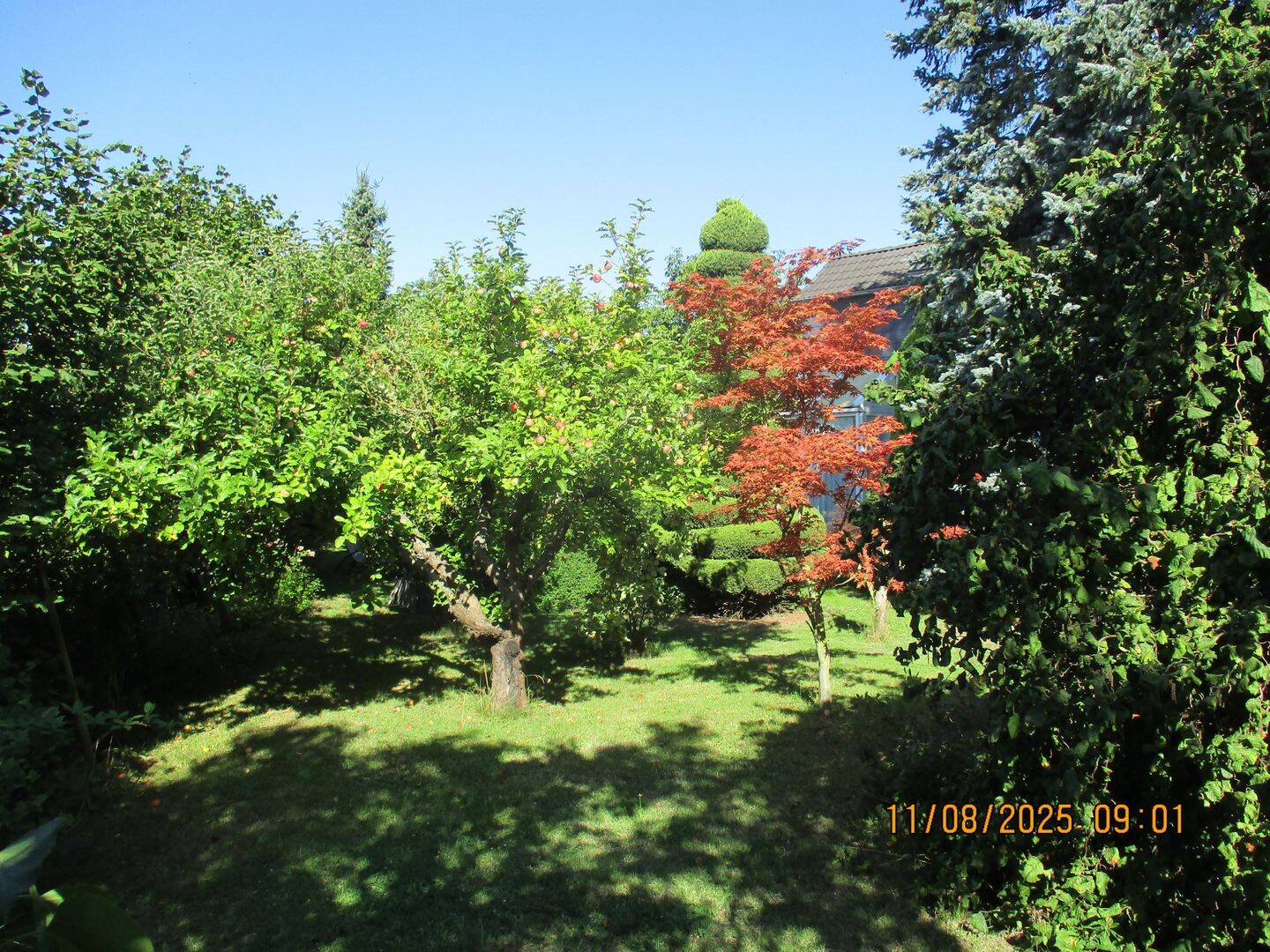 image-67326190