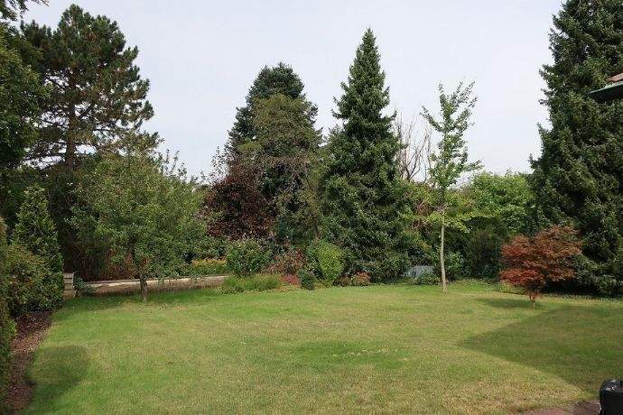 image-67341793