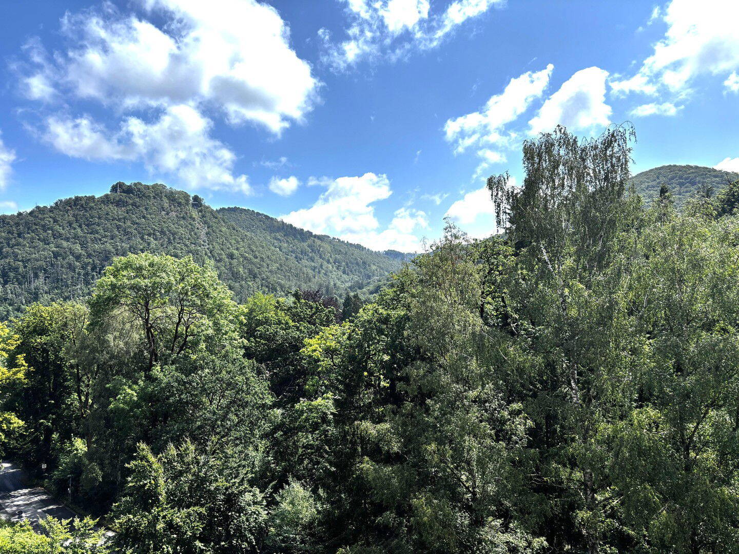 image-67345684