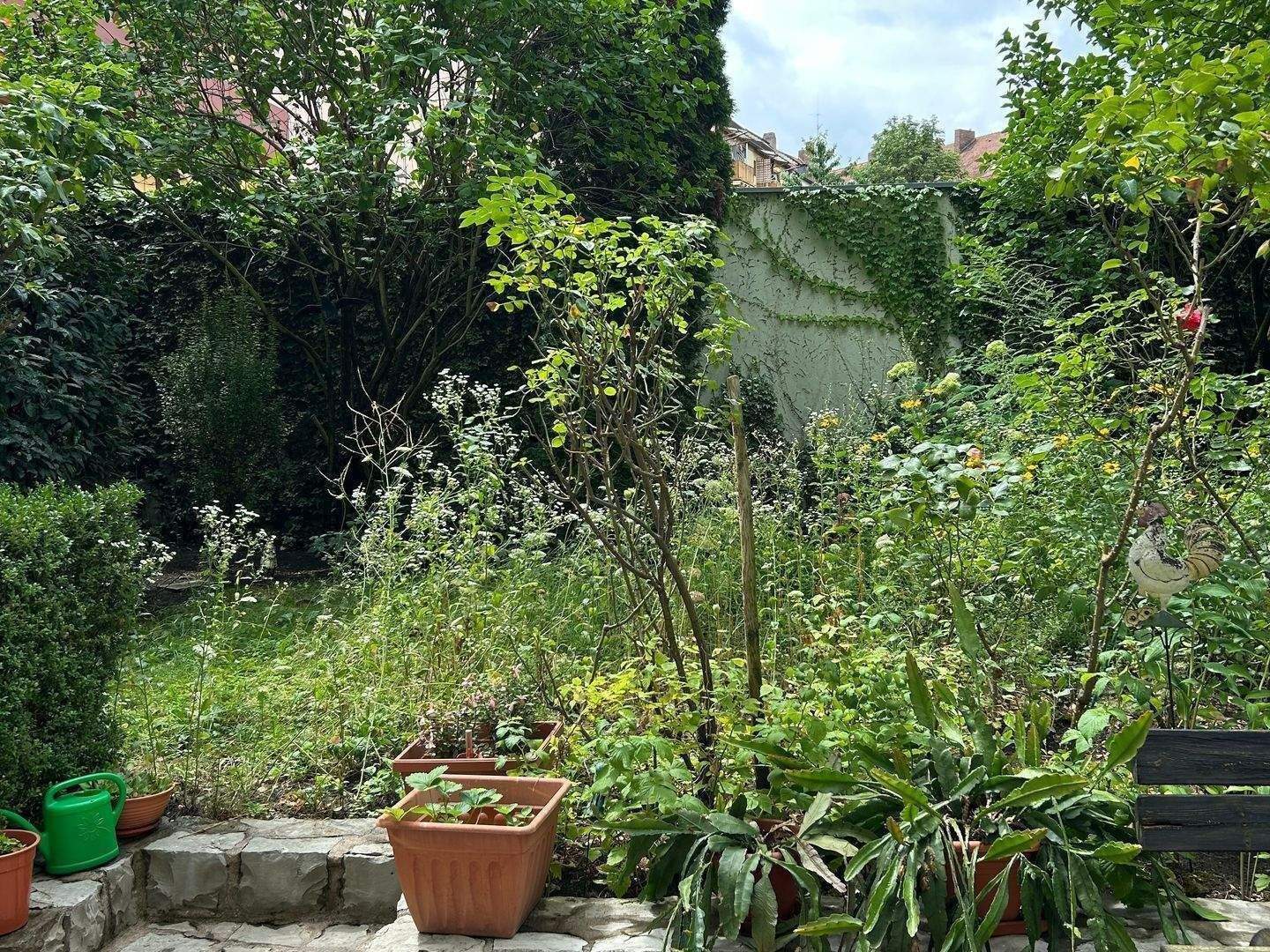 image-67358241