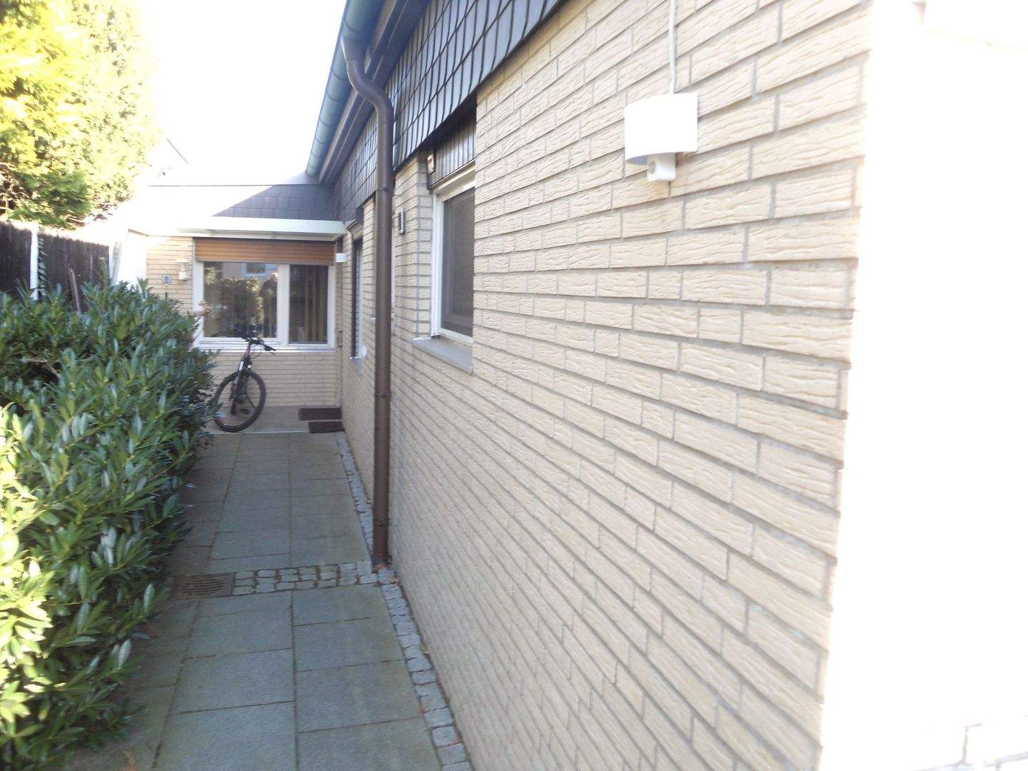 image-67364842
