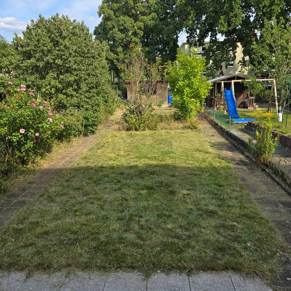 image-67365701