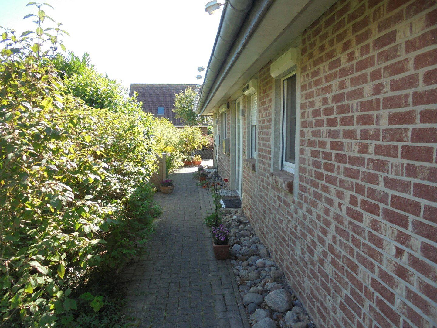 image-67369250