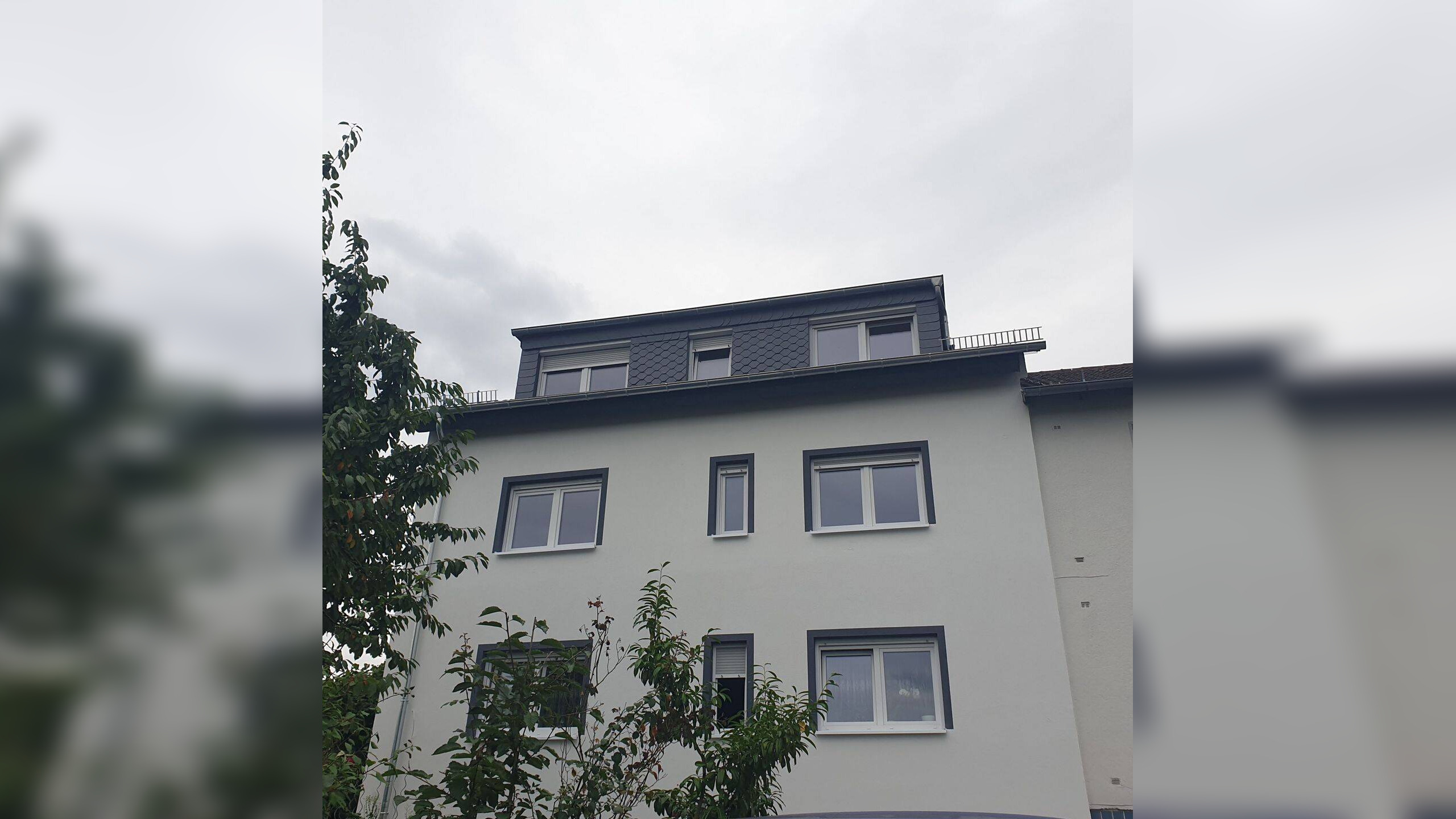 image-67393314
