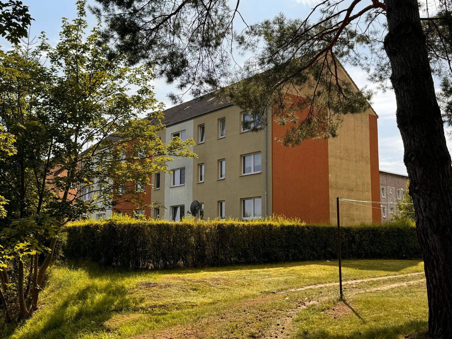 image-67400111