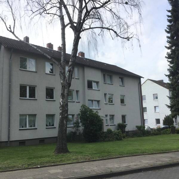 image-67402165