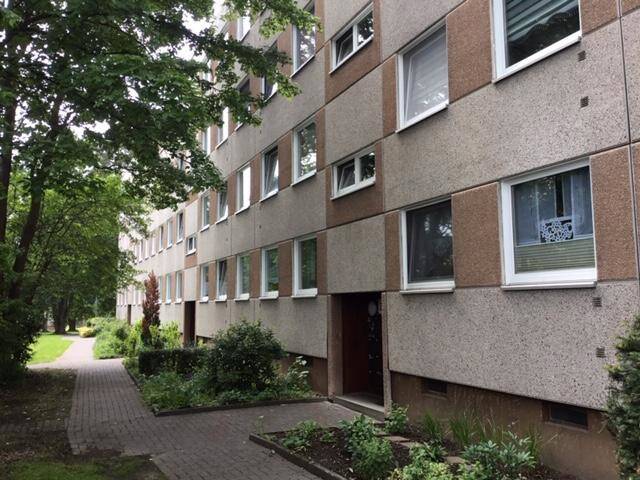 image-67402162