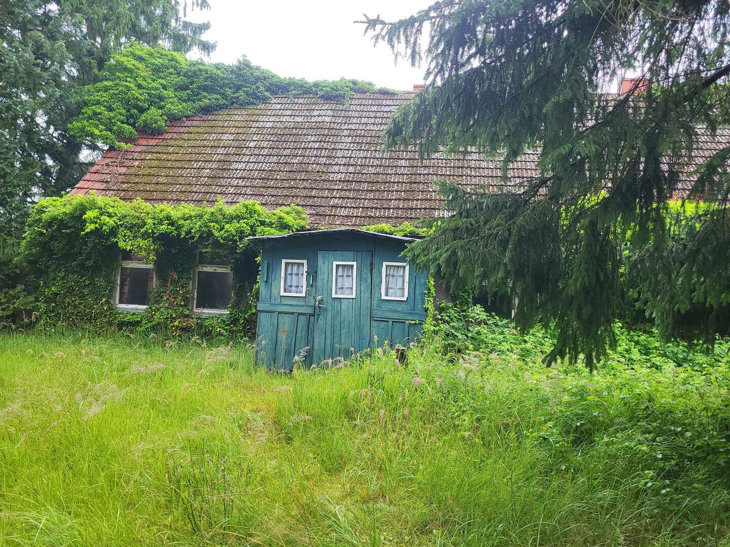 image-67403752