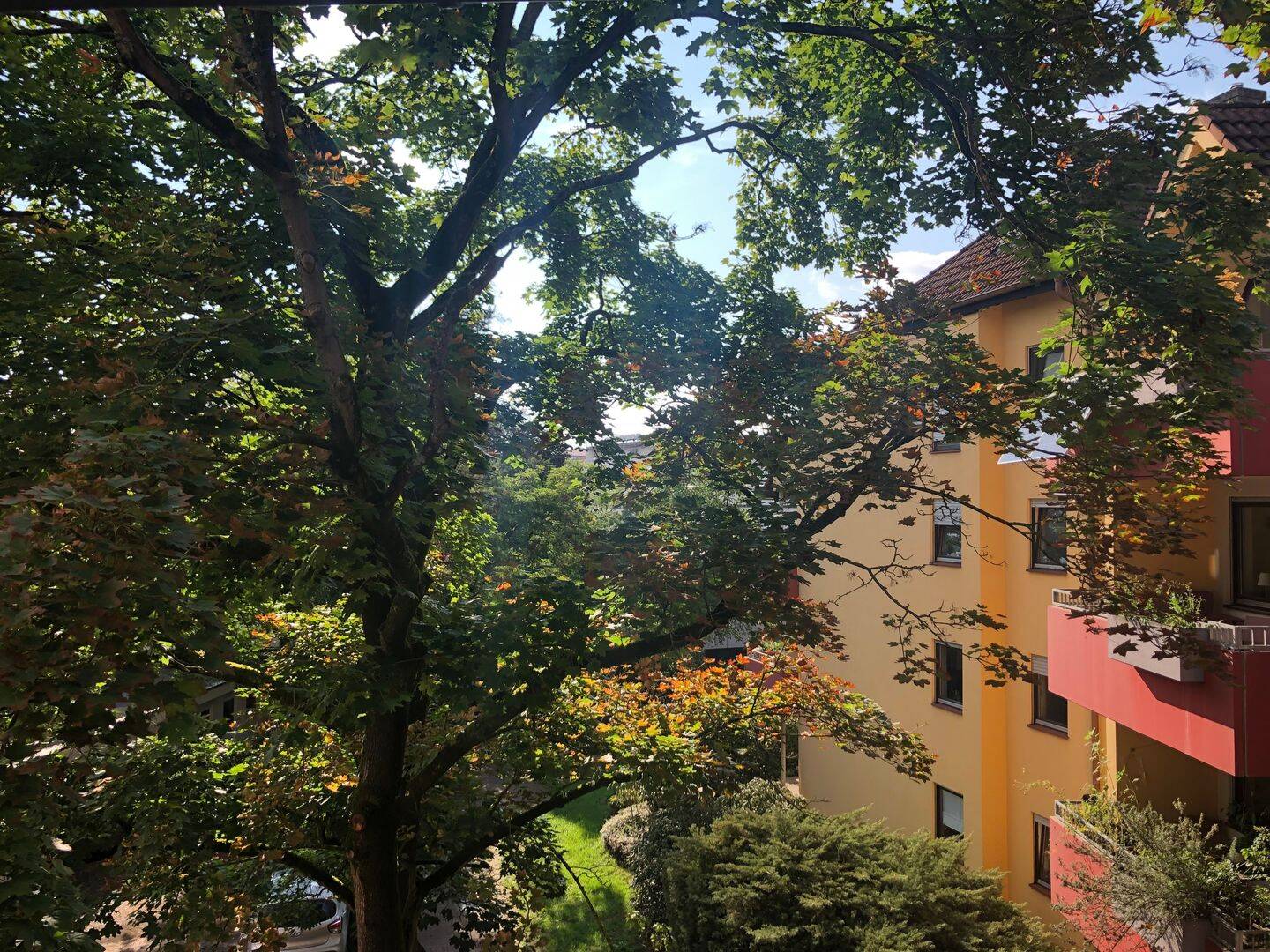 image-67405966