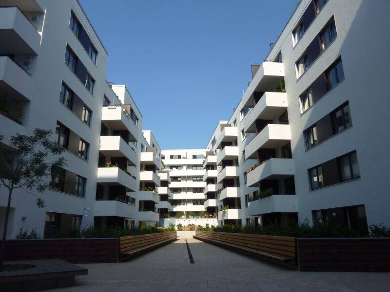 image-67409612